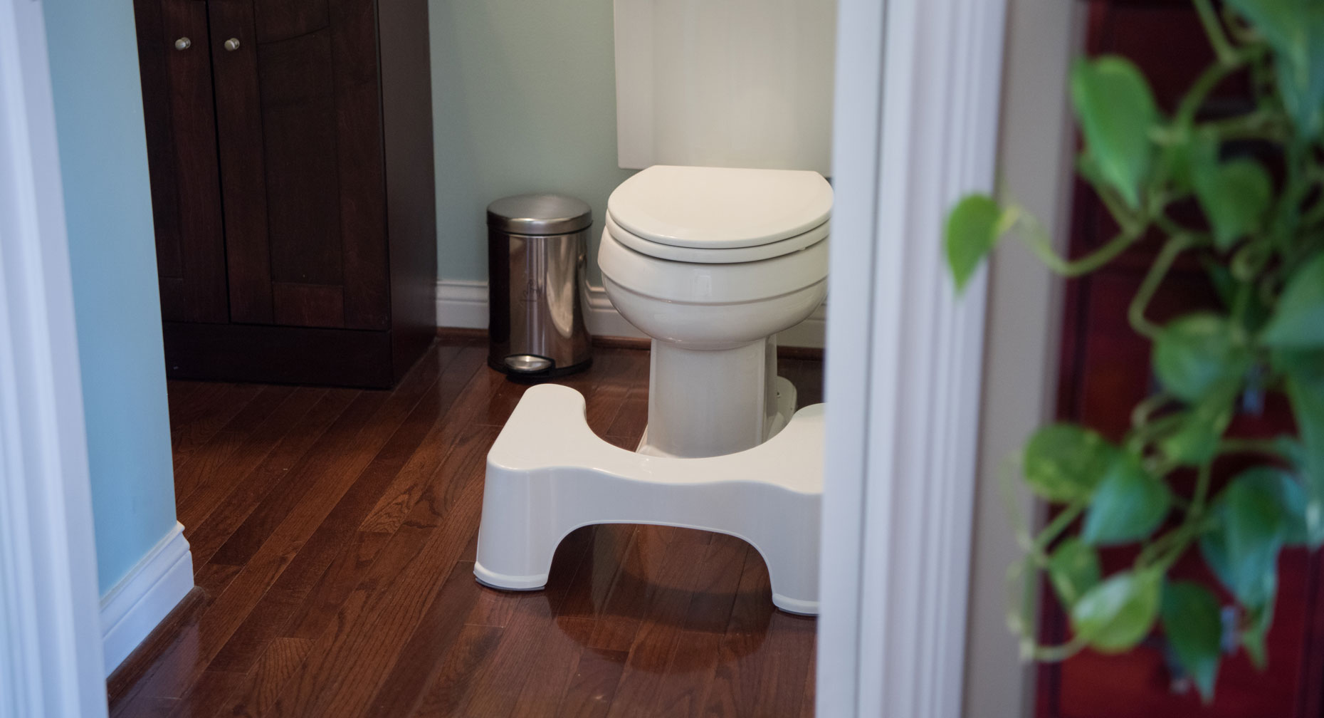 Squatty Potty large