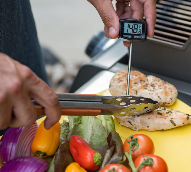 Salmonella Raw Facts small Salmonella Raw Facts small